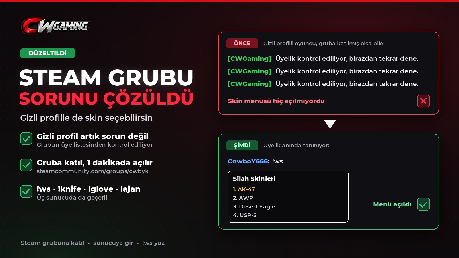 Steam grubu ve skin sorunu düzeltildi
